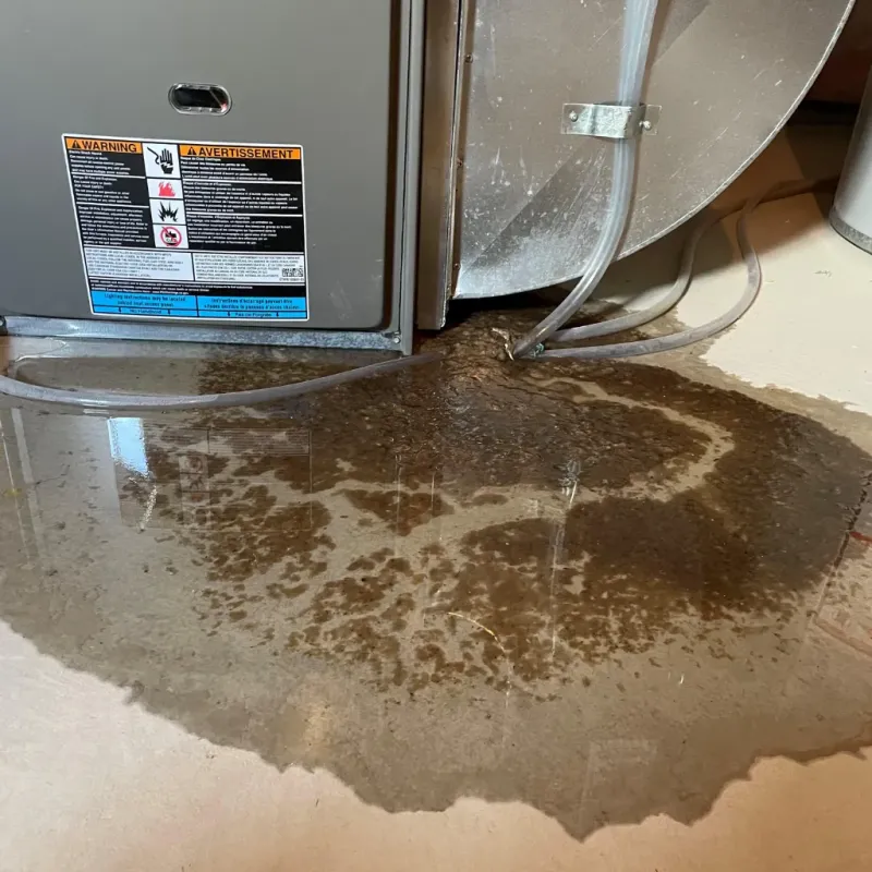 Appliance Leak Cleanup in Brooks County, TX